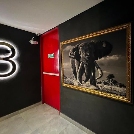 Hotel Zelva Negra Медельин Экстерьер фото