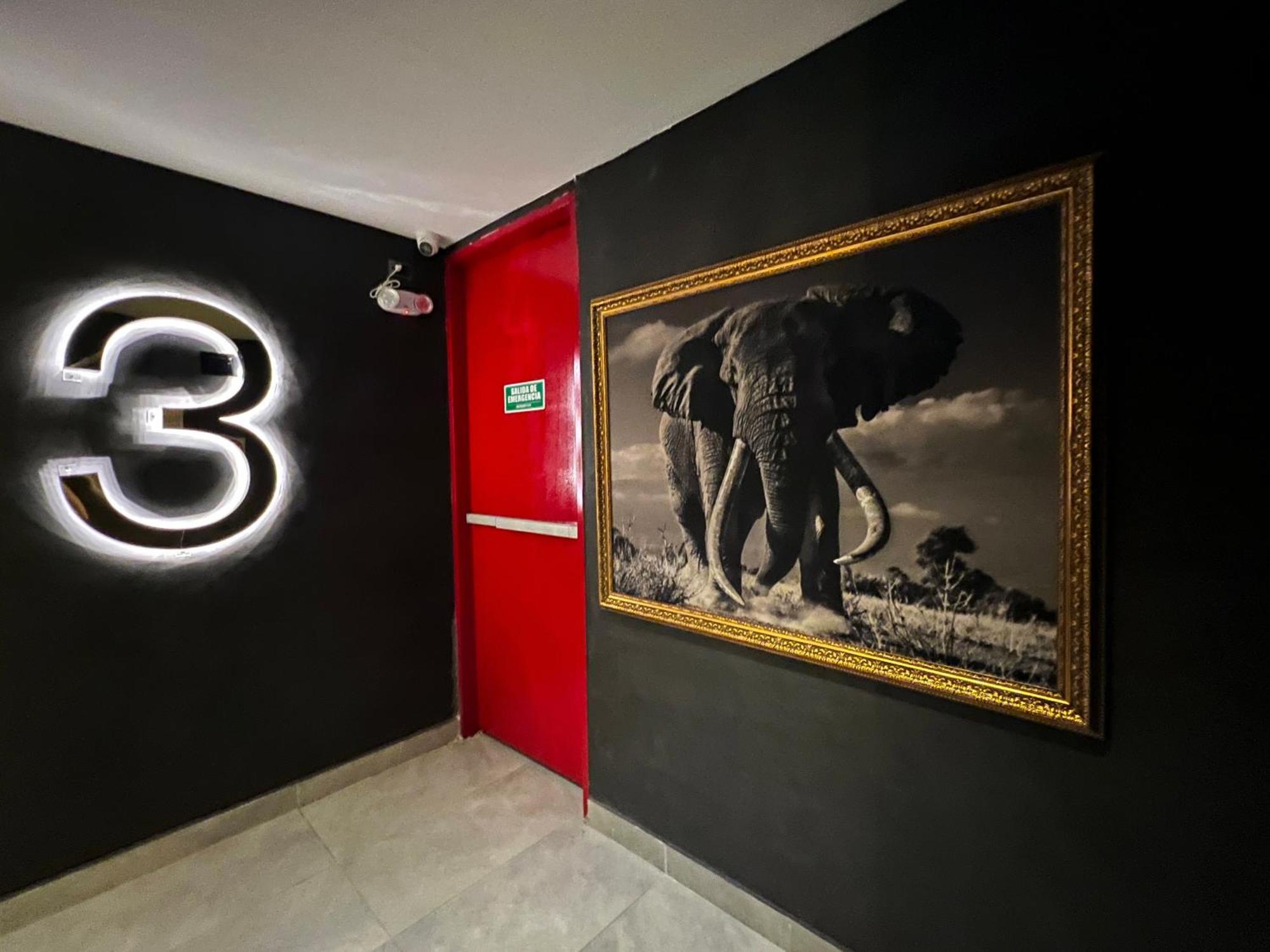 Hotel Zelva Negra Медельин Экстерьер фото