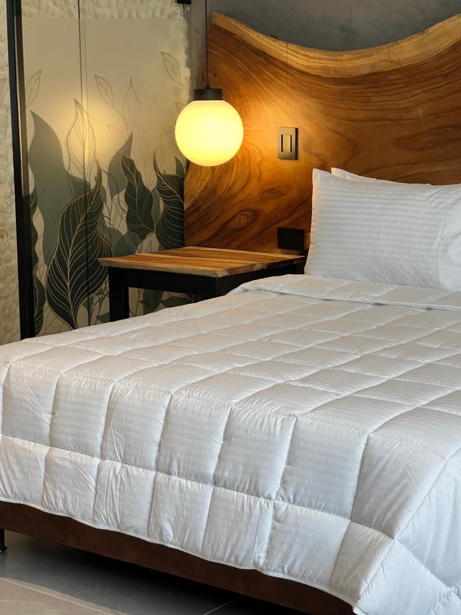 Hotel Zelva Negra Медельин Экстерьер фото